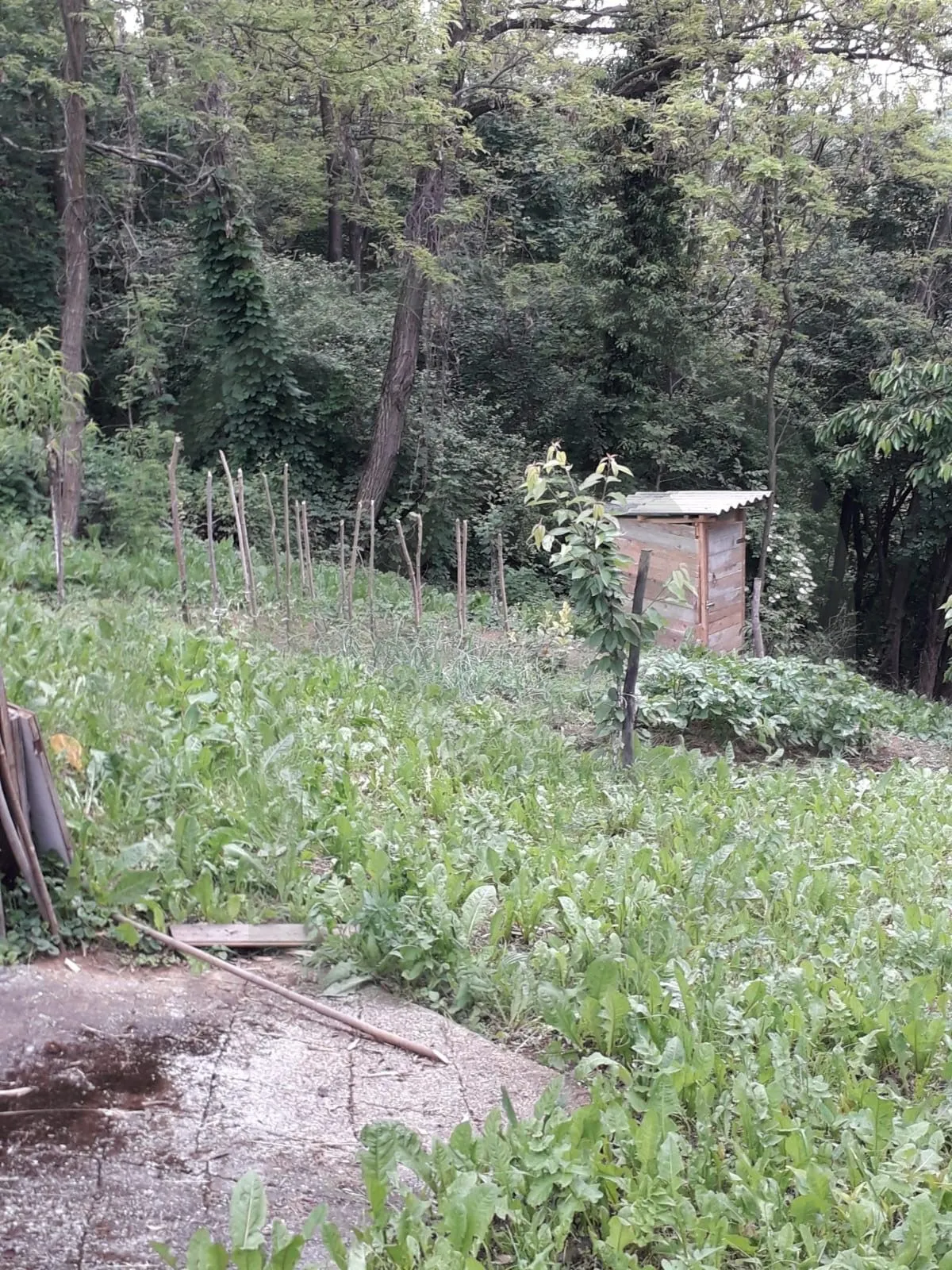vikend parcela sa drvenom kućicom 737m2, zelina - slika 6