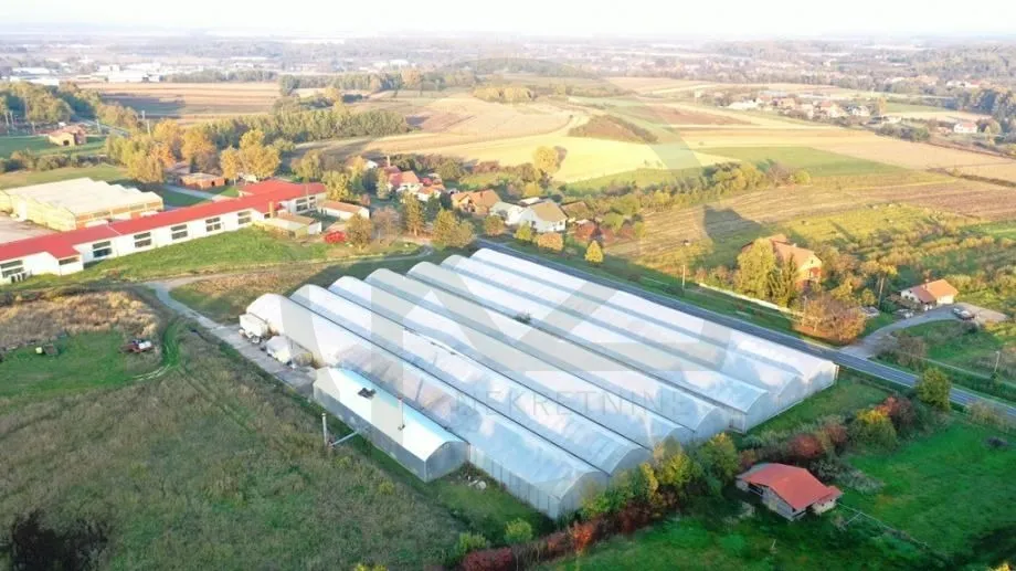 građevinsko zemljište sa plastenicima, orahovica 7.343 m2 - slika 2