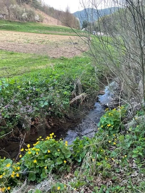 obiteljska kuća 180 m2, ravno brezje + gosp. zgrada, moguća zamjena!! - slika 19