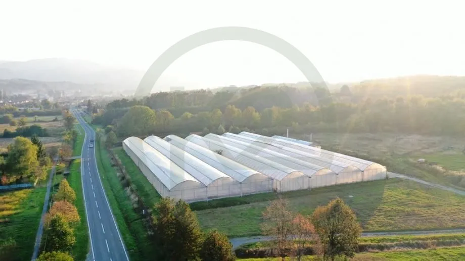 građevinsko zemljište sa plastenicima, orahovica 7.343 m2 - slika 3