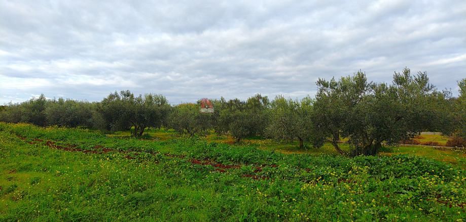 SUKOŠAN-Građevinsko zemljište 1062m2