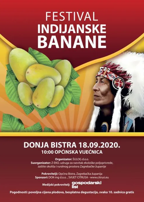 Indijanska banana sadnice 15 litara , preko 1 m - Donja Bistra, Bistra