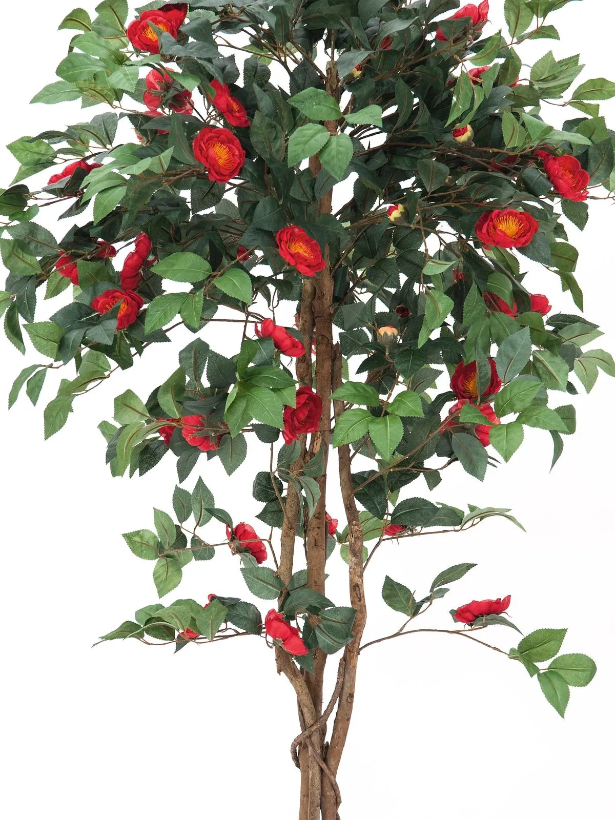 europalms camelia red cemented 180cm - slika 2