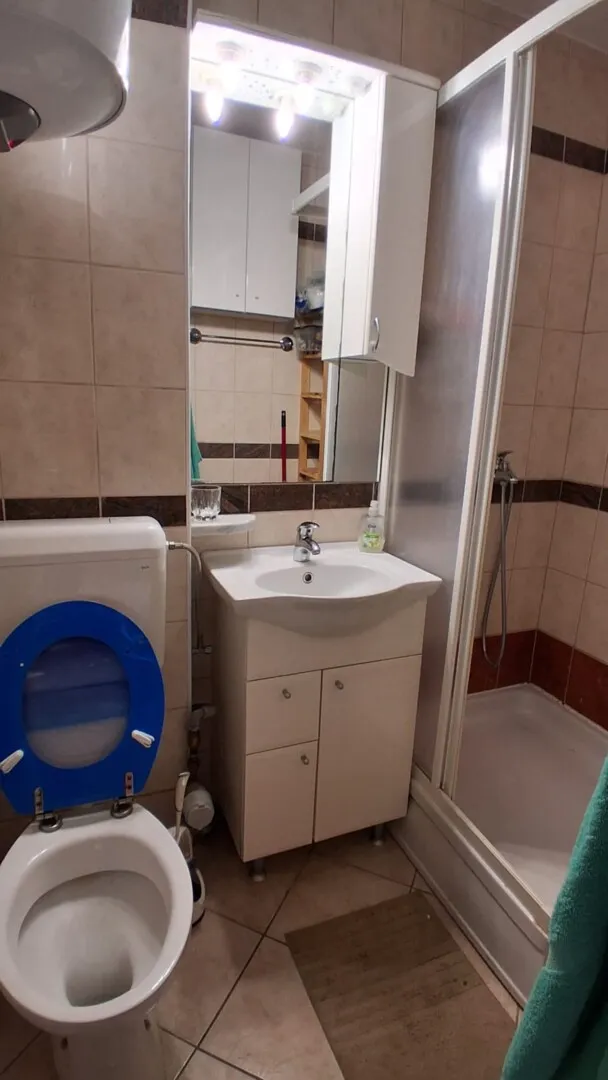 červar-porat -garsonijera na prodaju 1 kat - slika 12
