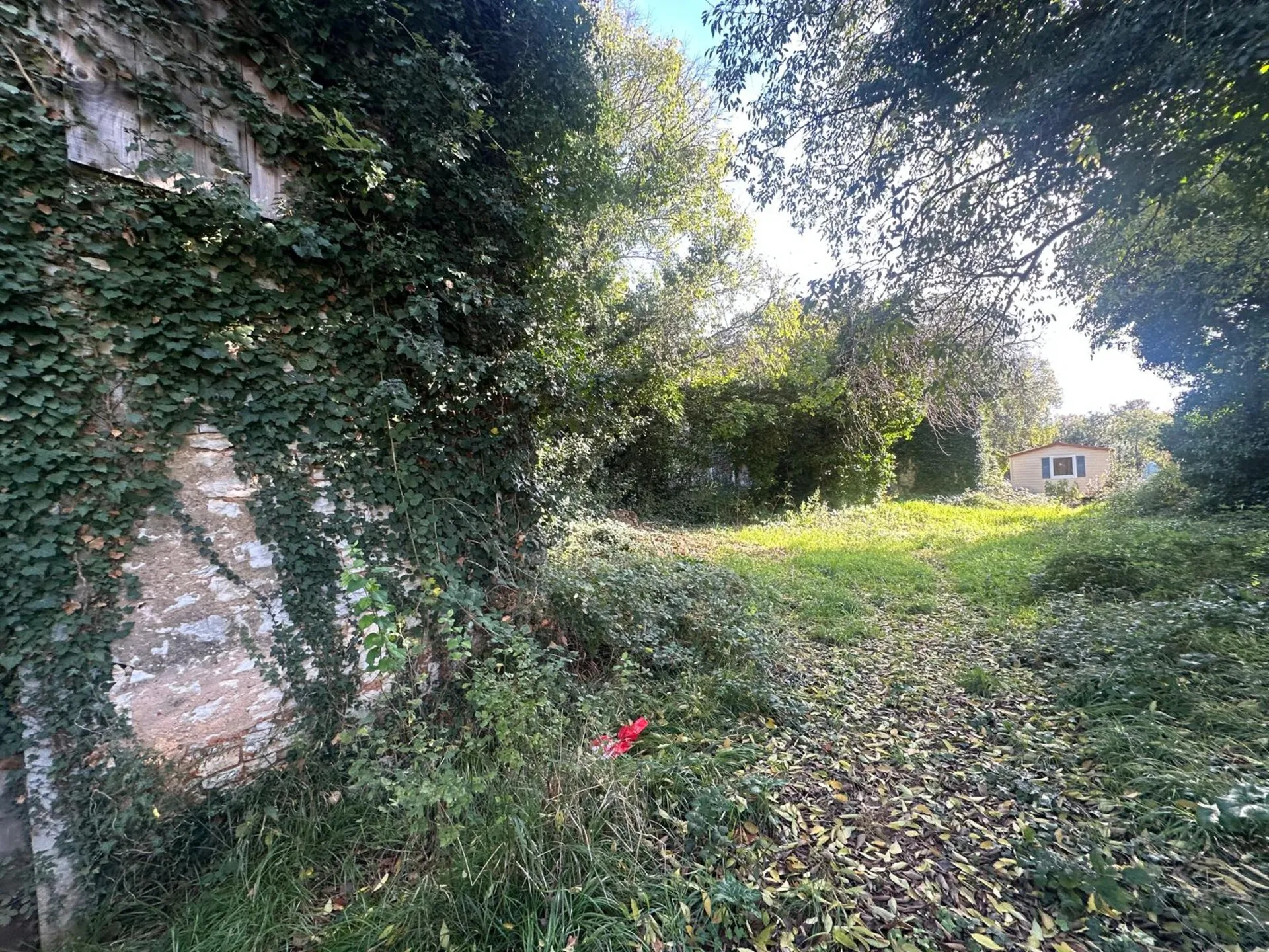 tar-vabriga -nekretnina na prodaju - slika 5