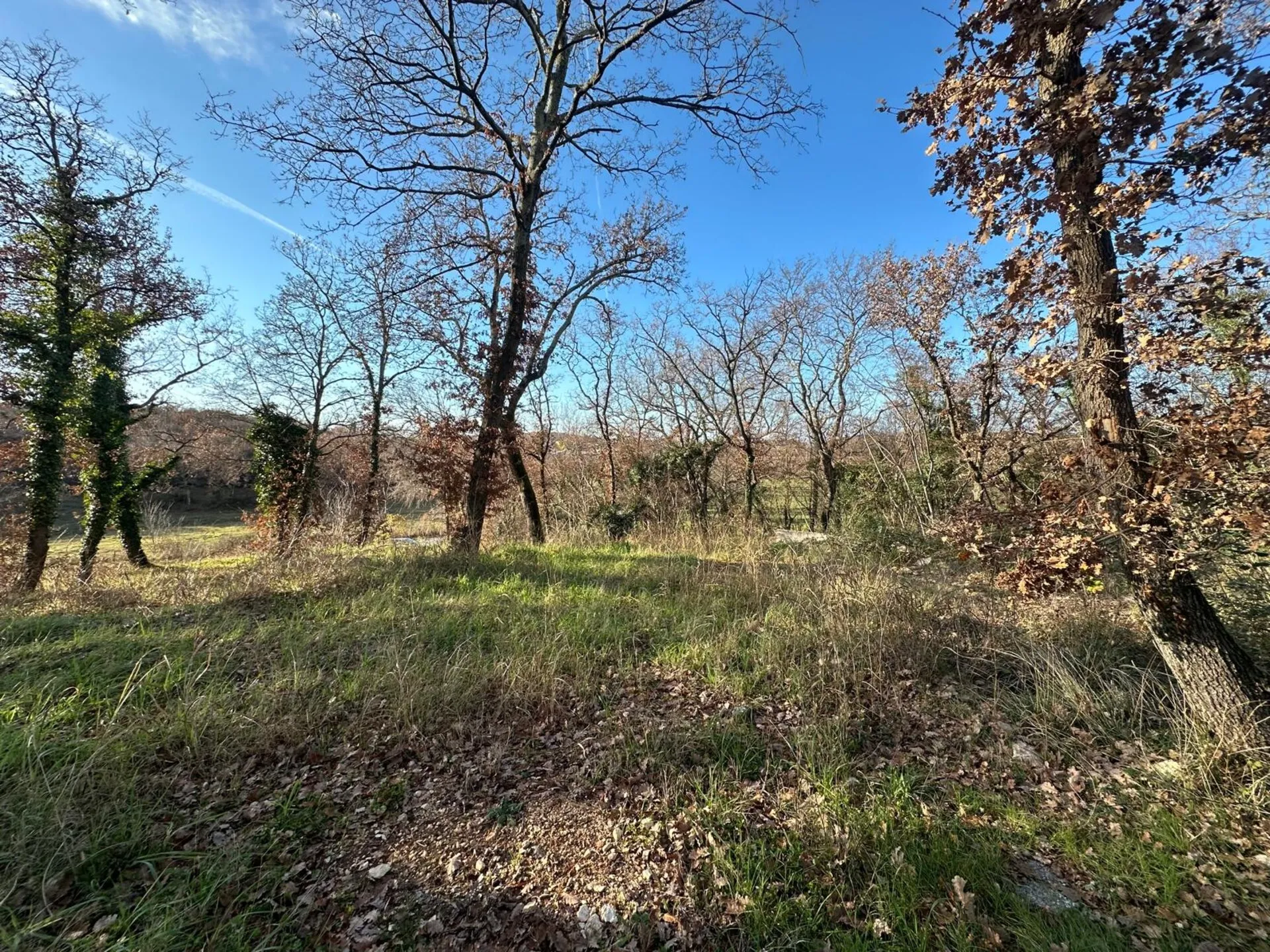zemljište prodaja poreč 636 m2 - slika 3