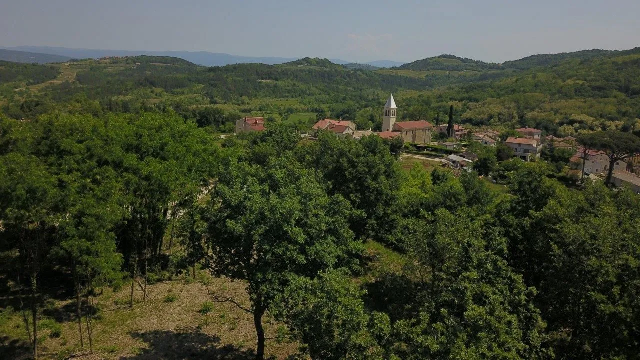 motovun 5 km -građevinsko zemljište sa projektom za stanciju - slika 4