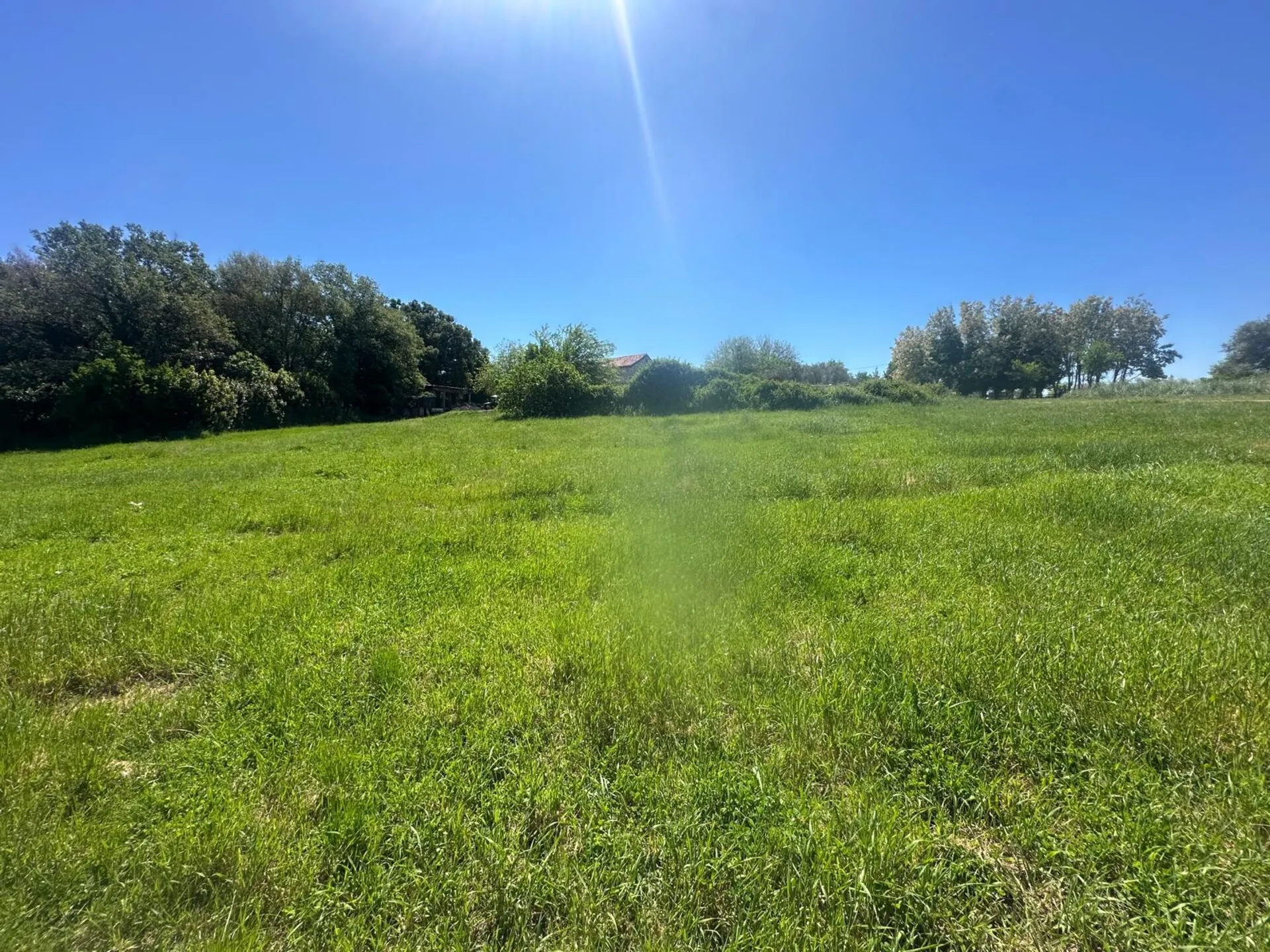 građevinsko zemljište u mirnom predjelu brtonigle – 755 m² - slika 4