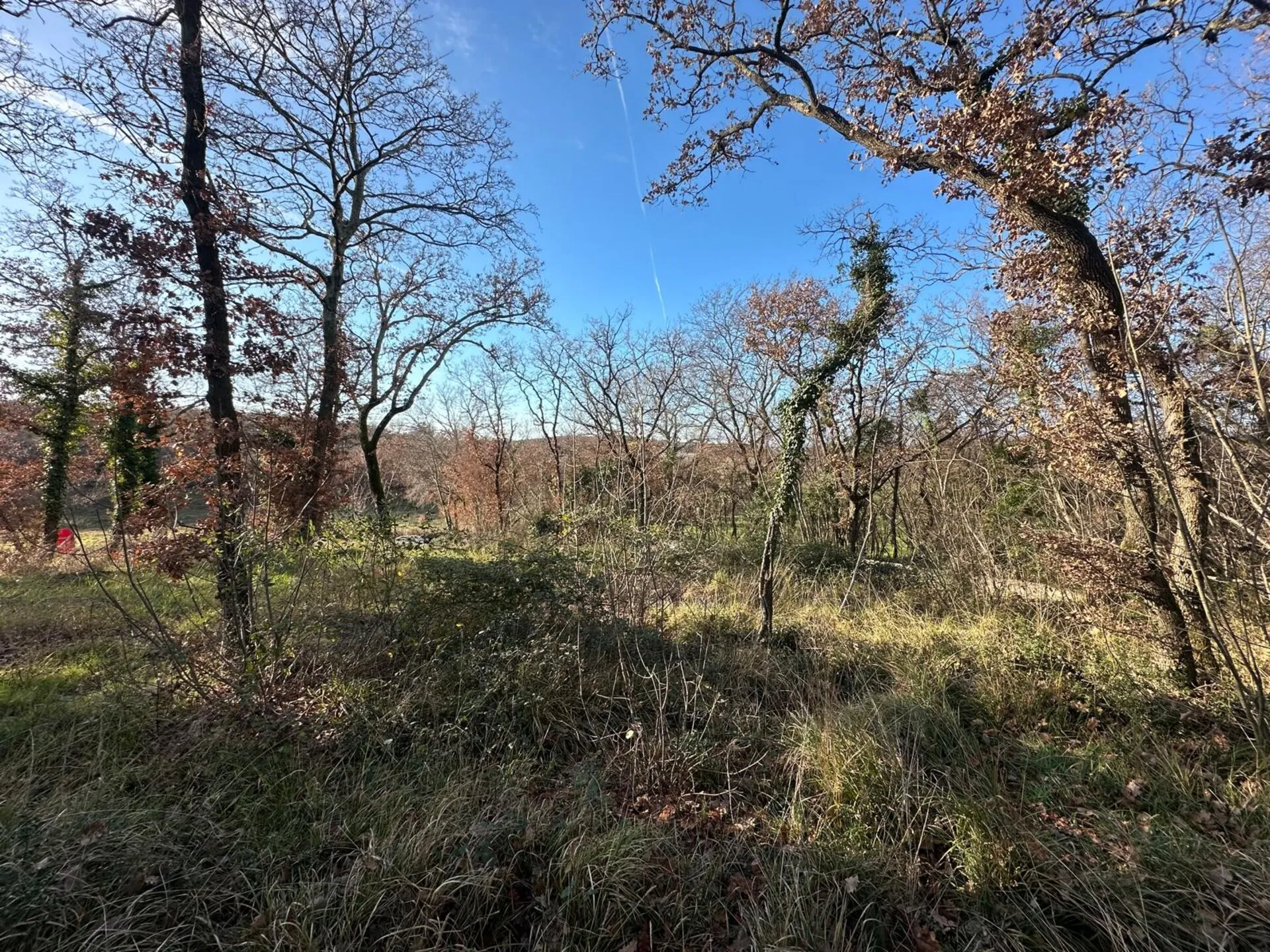 zemljište prodaja poreč 636 m2 - slika 4
