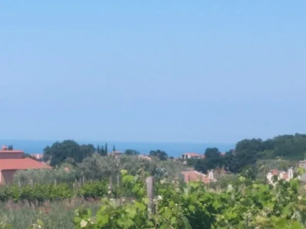 kaštelir-građevinska parcela na prodaji - slika 4