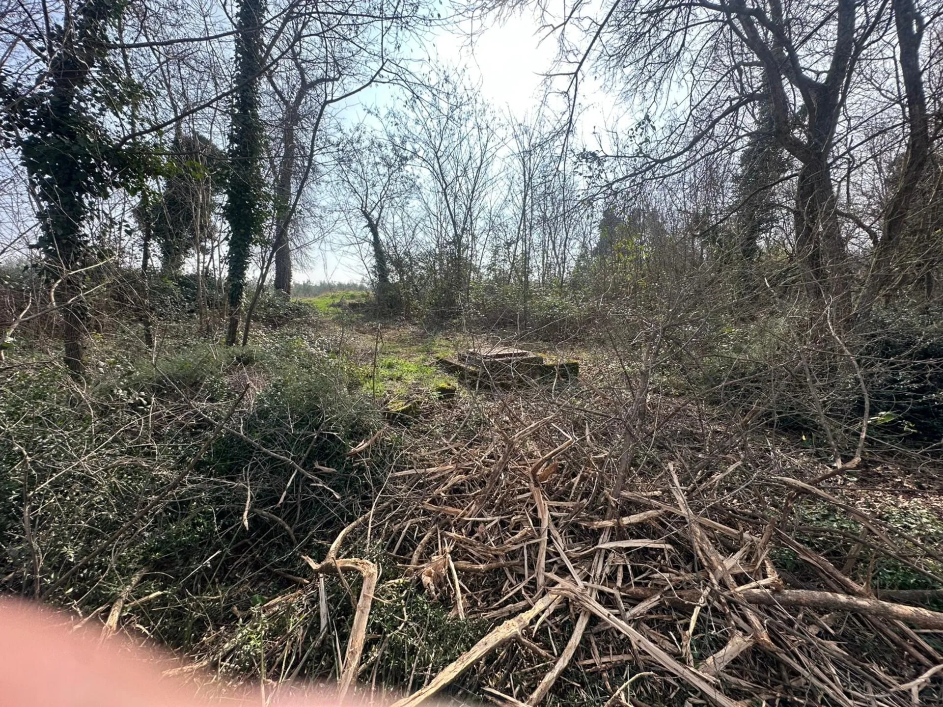 poreč-građevinsko sa poljoprivrednim zemljištem na prodaji + kuća - slika 3