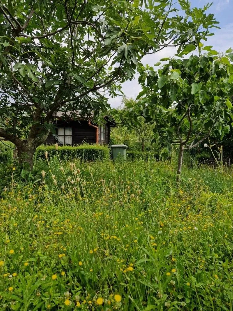 kuća prodaja poreč 120 m2 - slika 19