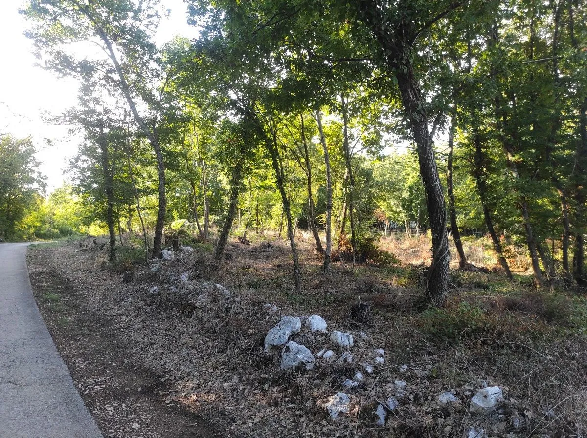 višnjan okolica-građevinsko zemljište sa građevinskom dozvolom na prodaji - slika 6