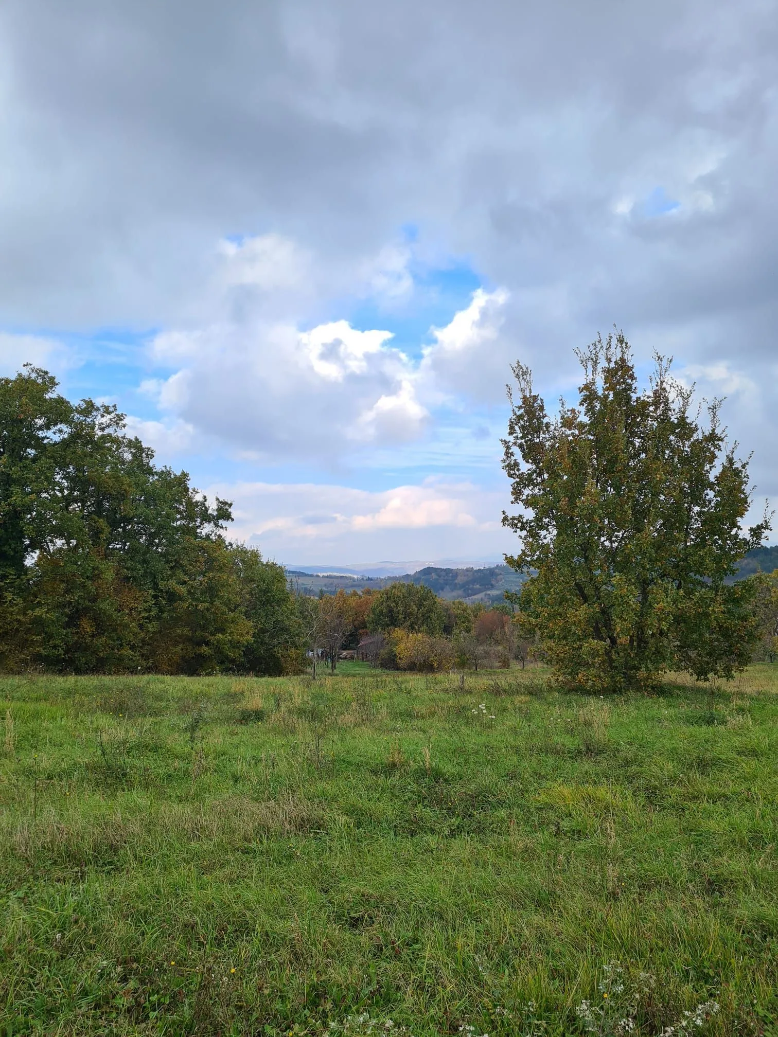 Motovun-Građevinsko Zemljište Sa Projektom Za Gradnju - Karojba, Karojba