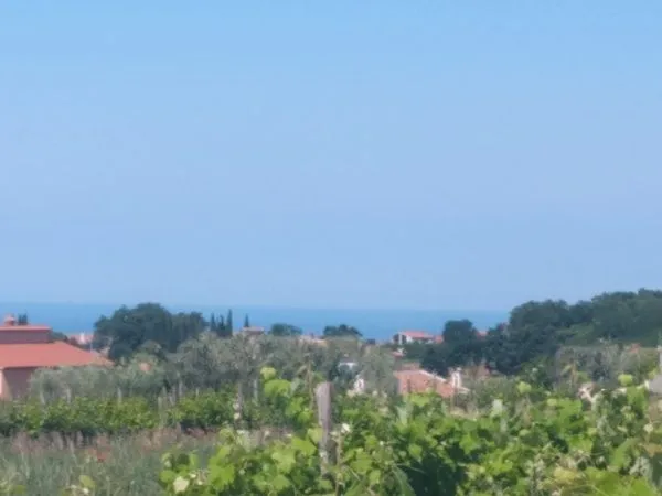 kaštelir-građevinska parcela na prodaji - slika 3