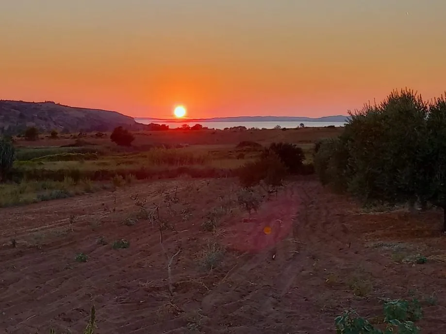 Ražanac( Škulići)-Poljoprivredno Zemljište 4137 M2 !! - Rtina, Ražanac