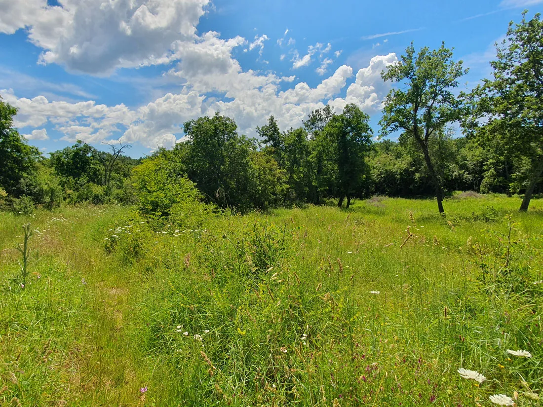 prodaja, medvidići, građevinsko zemljište 802m2, z-653 - slika 2