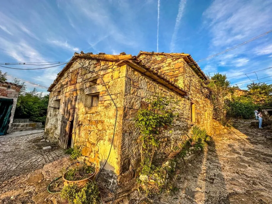 istra-malo selo s nagrađivanim vinom i maslinovim uljem (prodaja) - slika 15