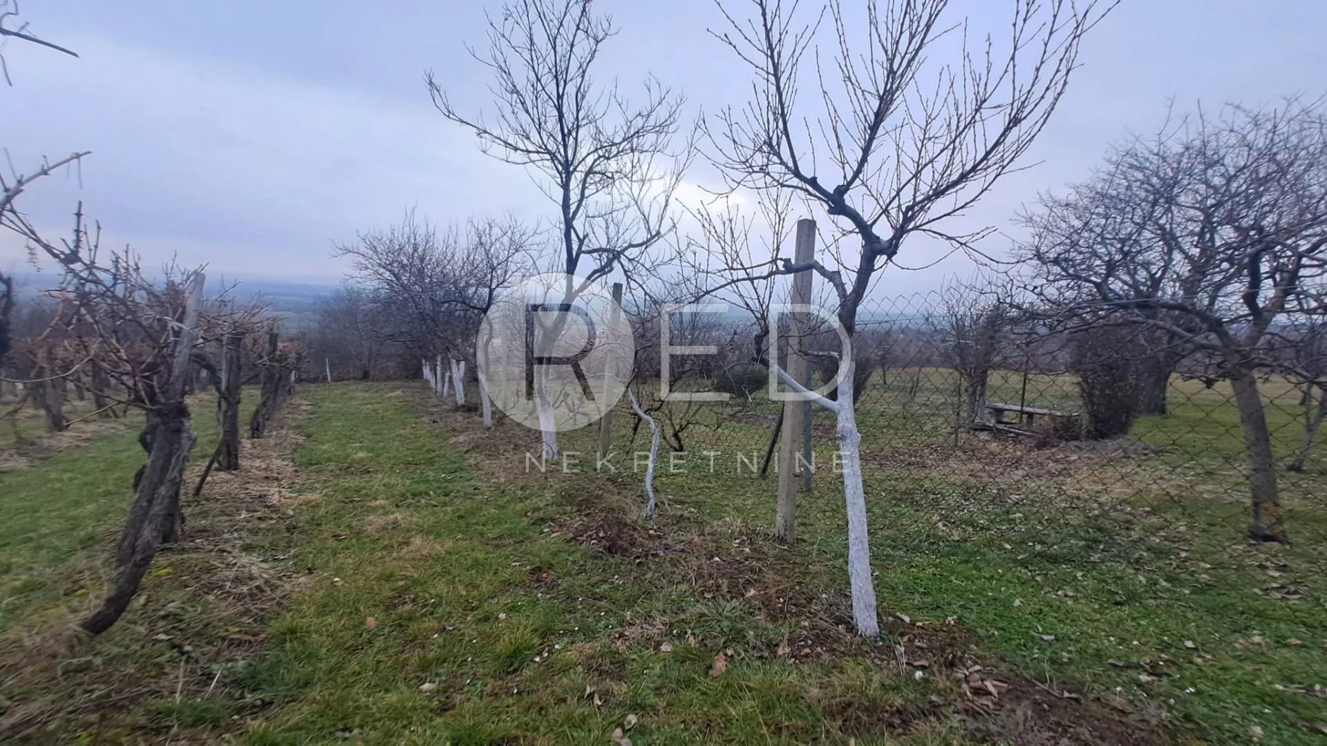 vinogradarska klijet sa zemljištem 4678m2 - slika 13