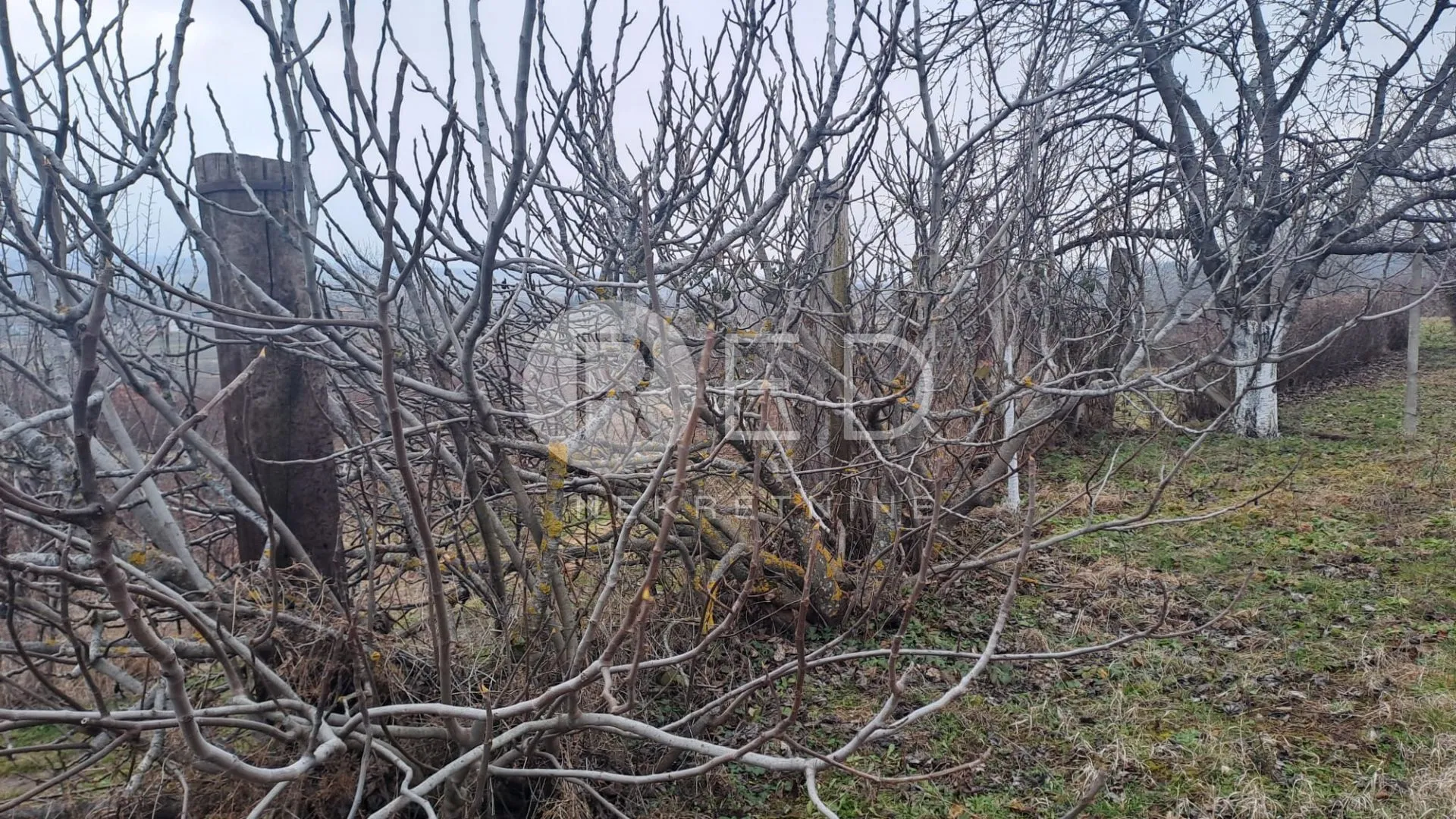 vinogradarska klijet sa zemljištem 4678m2 - slika 12