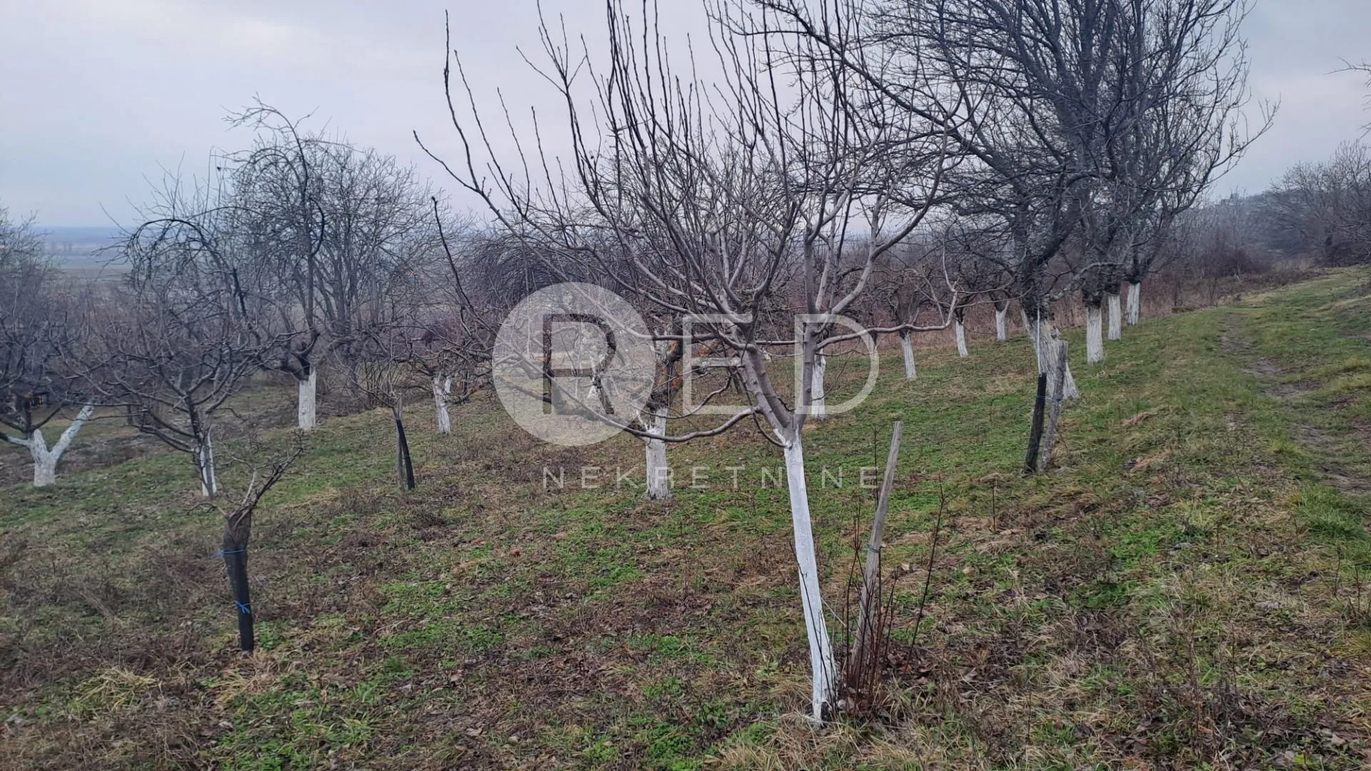 vinogradarska klijet sa zemljištem 4678m2 - slika 15