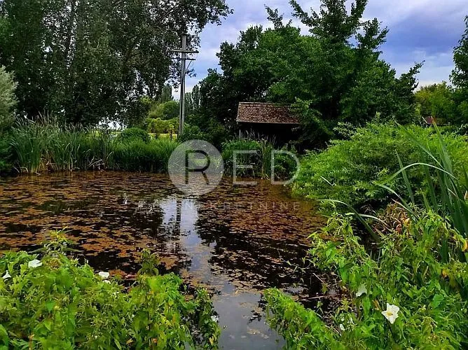 kuća i bajkovito imanje u baranji - slika 30