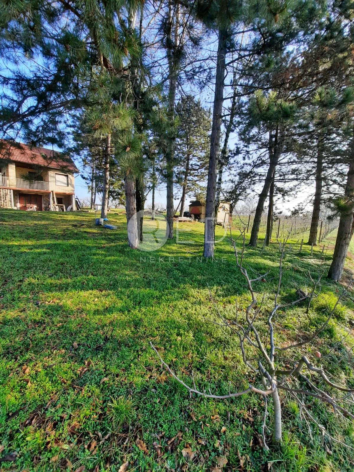 predivno imanje u baranji - slika 34