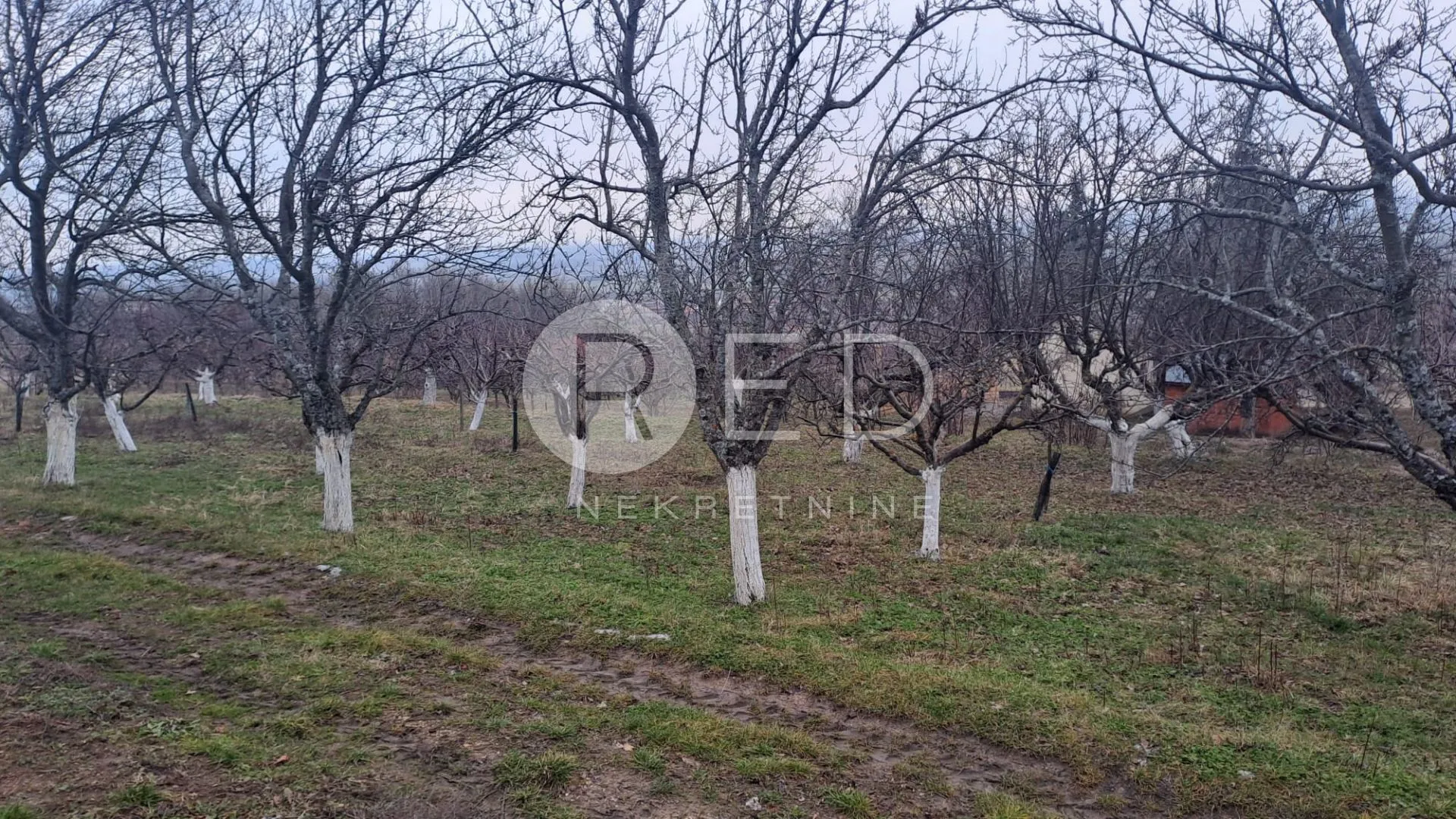 vinogradarska klijet sa zemljištem 4678m2 - slika 14