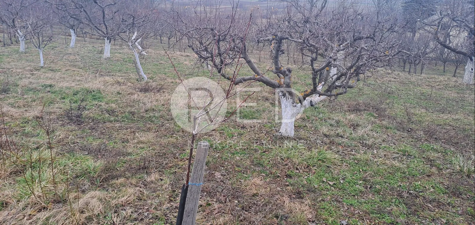 vinogradarska klijet sa zemljištem 4678m2 - slika 6