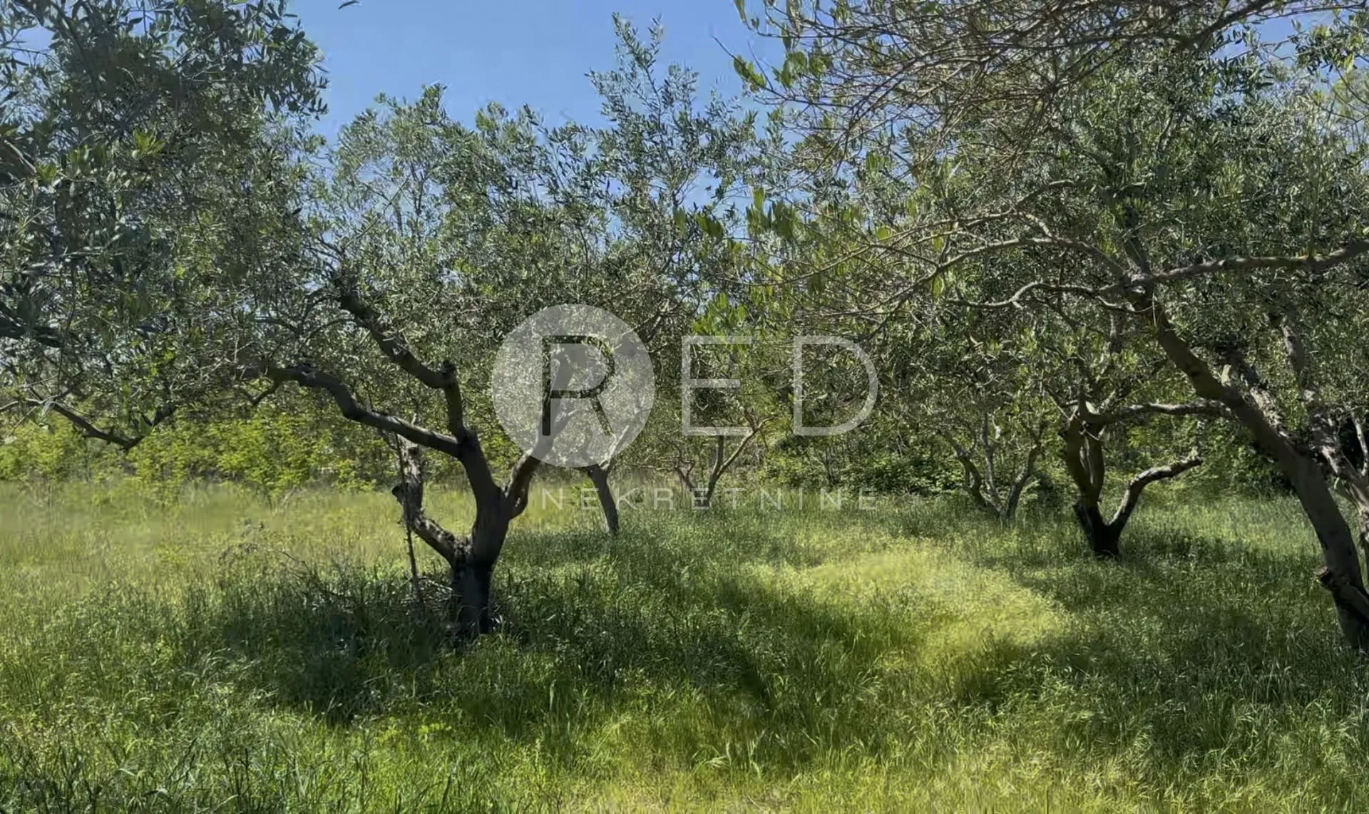 privlaka građevinsko zemljište 956m2 (9 stambenih jedinica) - slika 3