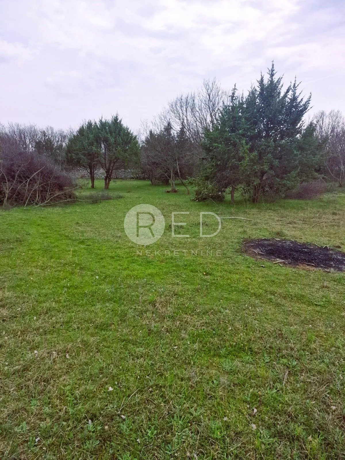 otok krk, pinezići - poljoprivredno zemljište, 2651 m2 - slika 2