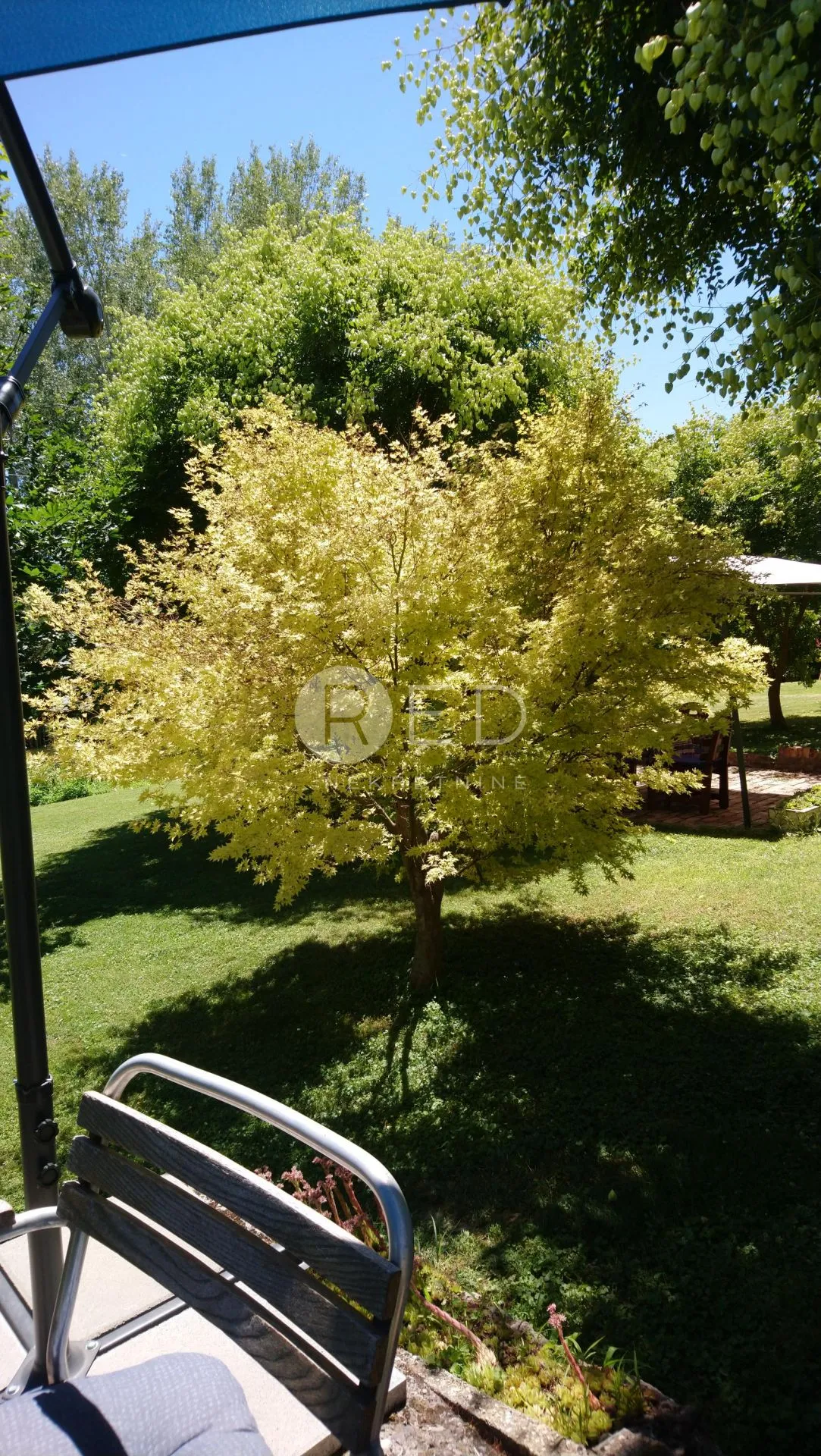 kuća i bajkovito imanje u baranji - slika 34