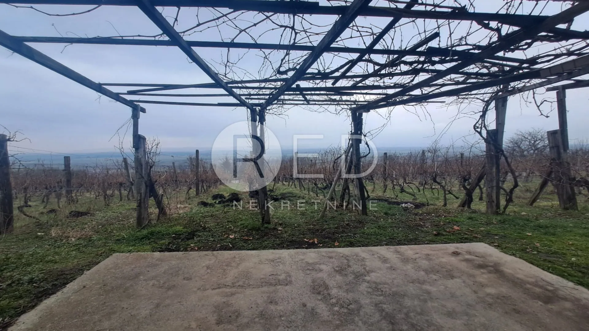 vinogradarska klijet sa zemljištem 4678m2 - slika 4