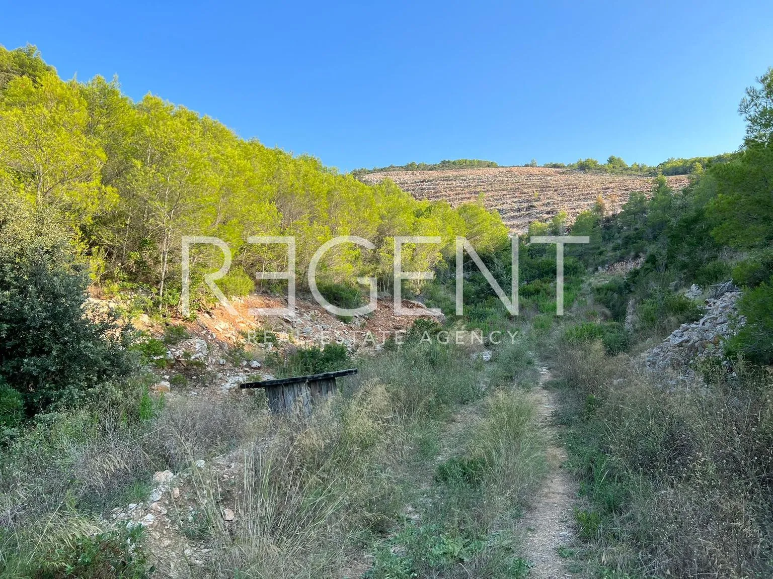 hvar - poljoprivredno zemljište, 46000 m2 - slika 2