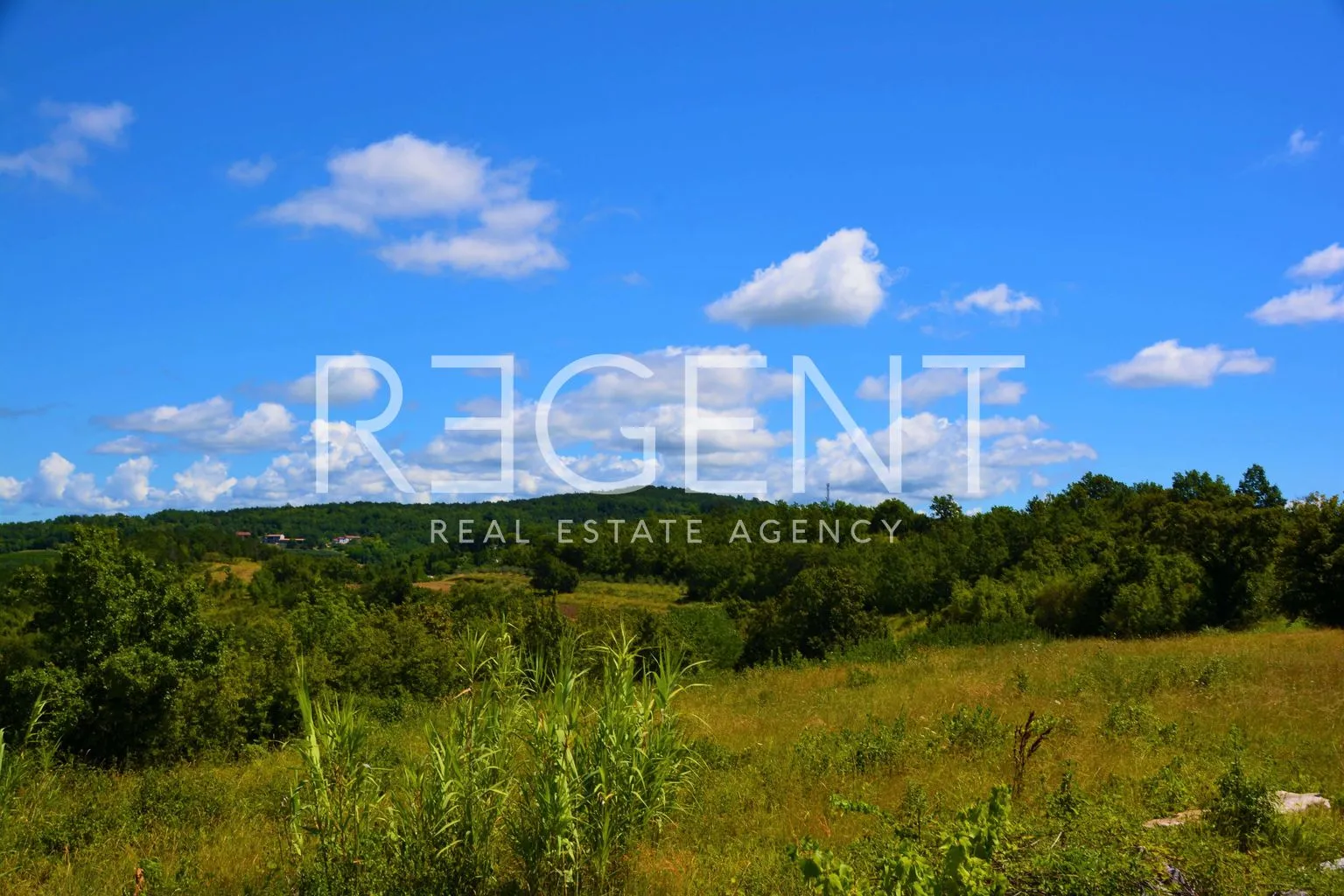 istra, buje - građevinsko zemljište 1015 m2 - slika 5