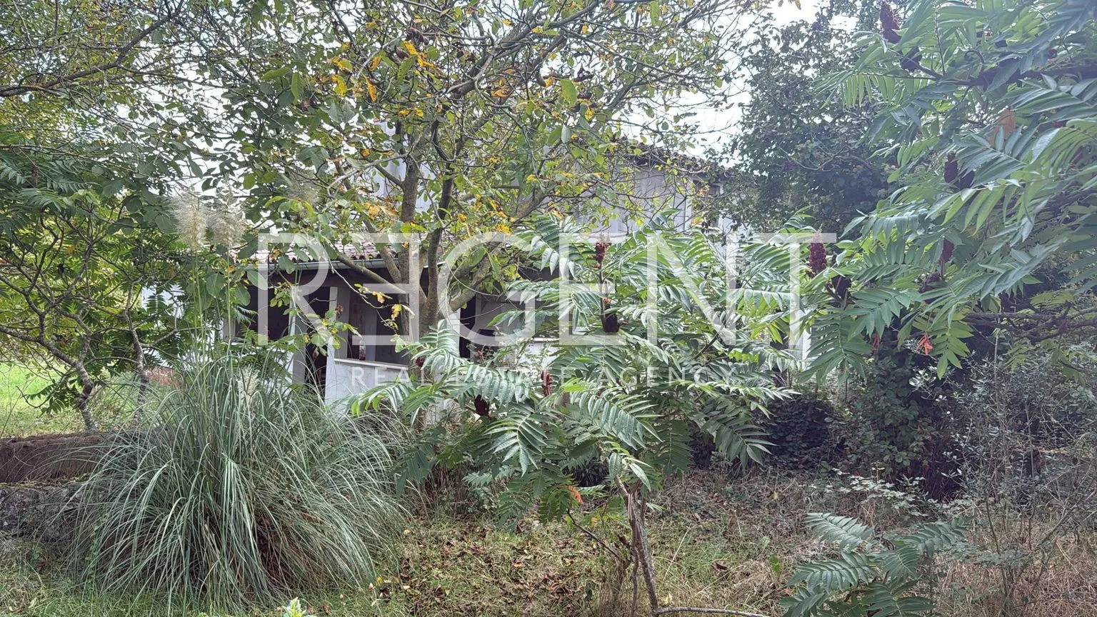 svetvinčenat – kuća za renovaciju - slika 5