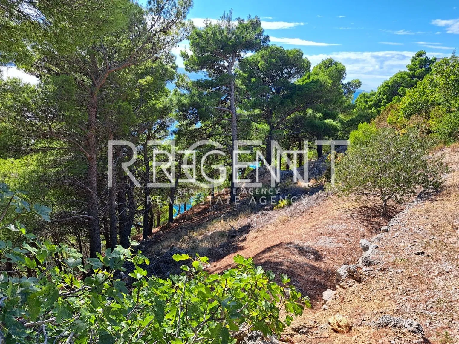 omiš, marušići - ekskluzivno zemljište prvi red do mora, 4100m2 - slika 13