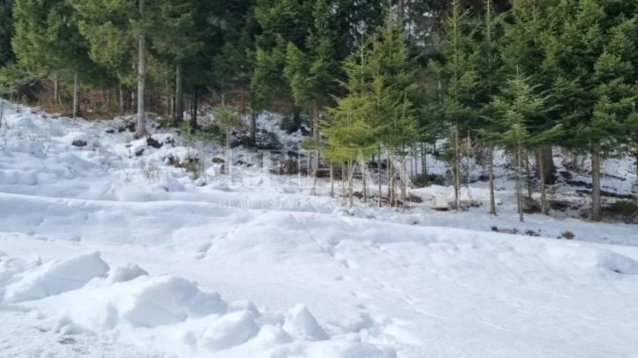 gorski kotar, crni lazi - građevinsko zemljište, 999 m2 - slika 9