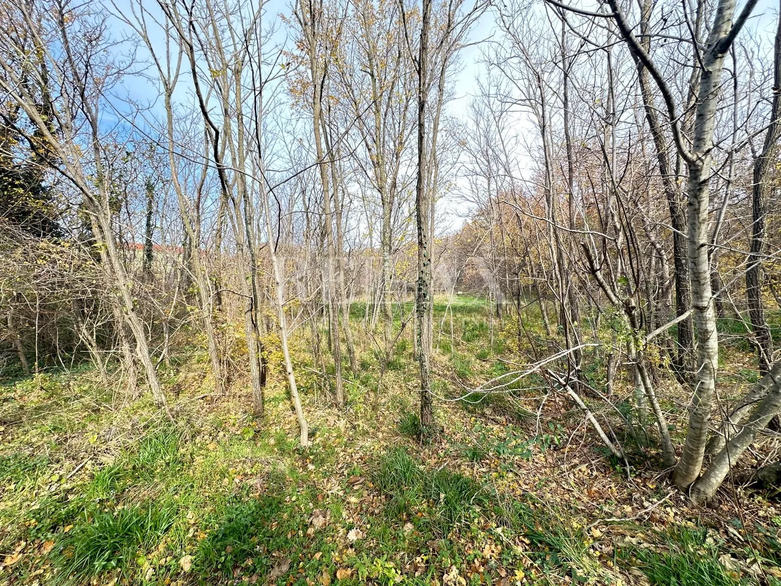 grižane - građevinsko zemljište - slika 8