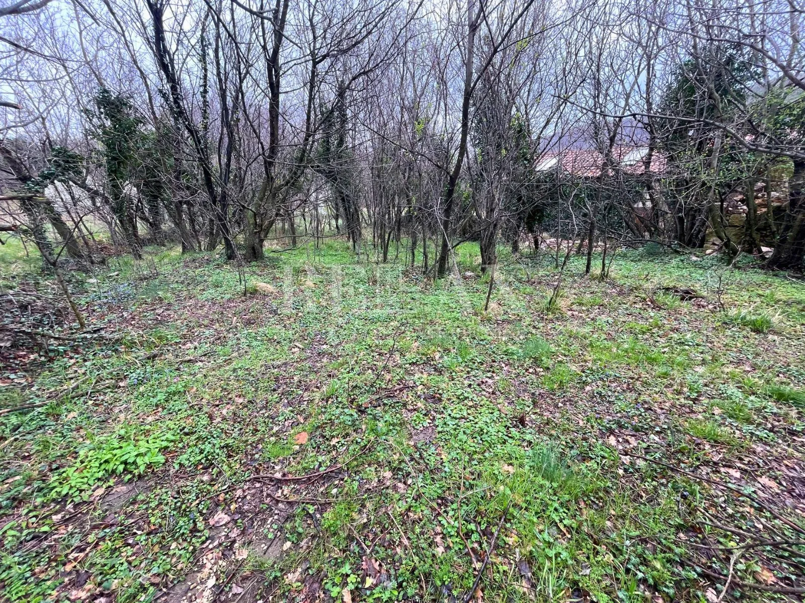 bribir - mirišće (ruševina) s zemljištem - slika 5