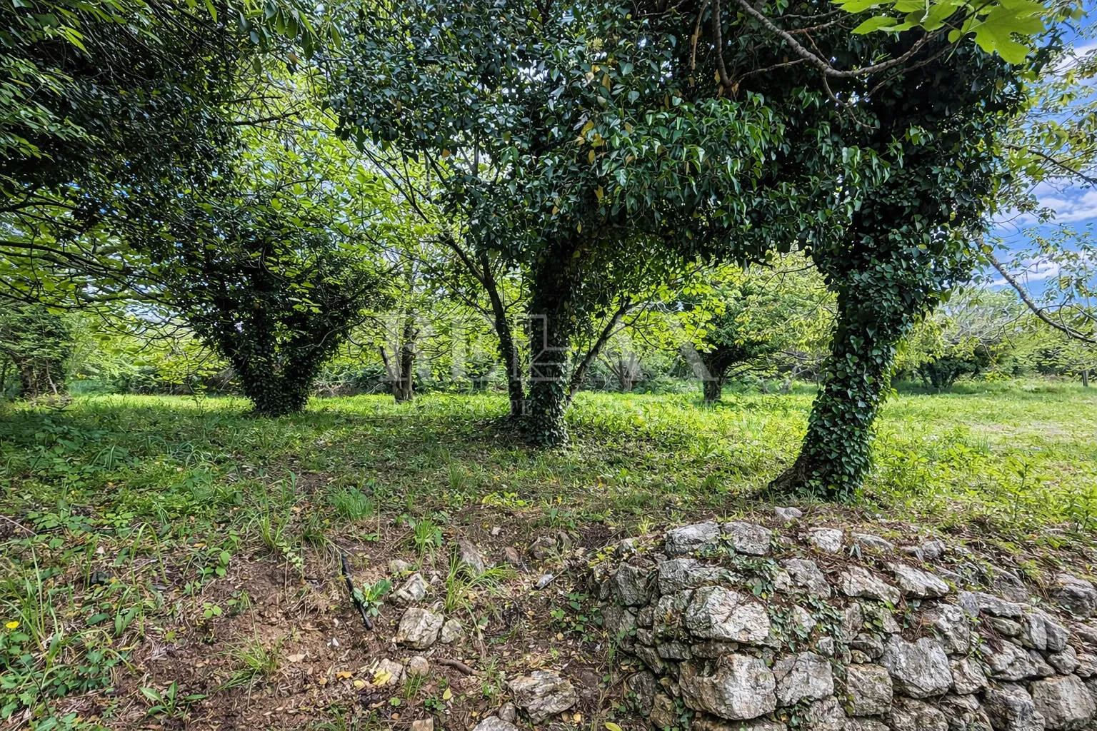 bribir - kamena kuća s velikim dvorištem i okućnicom - slika 26