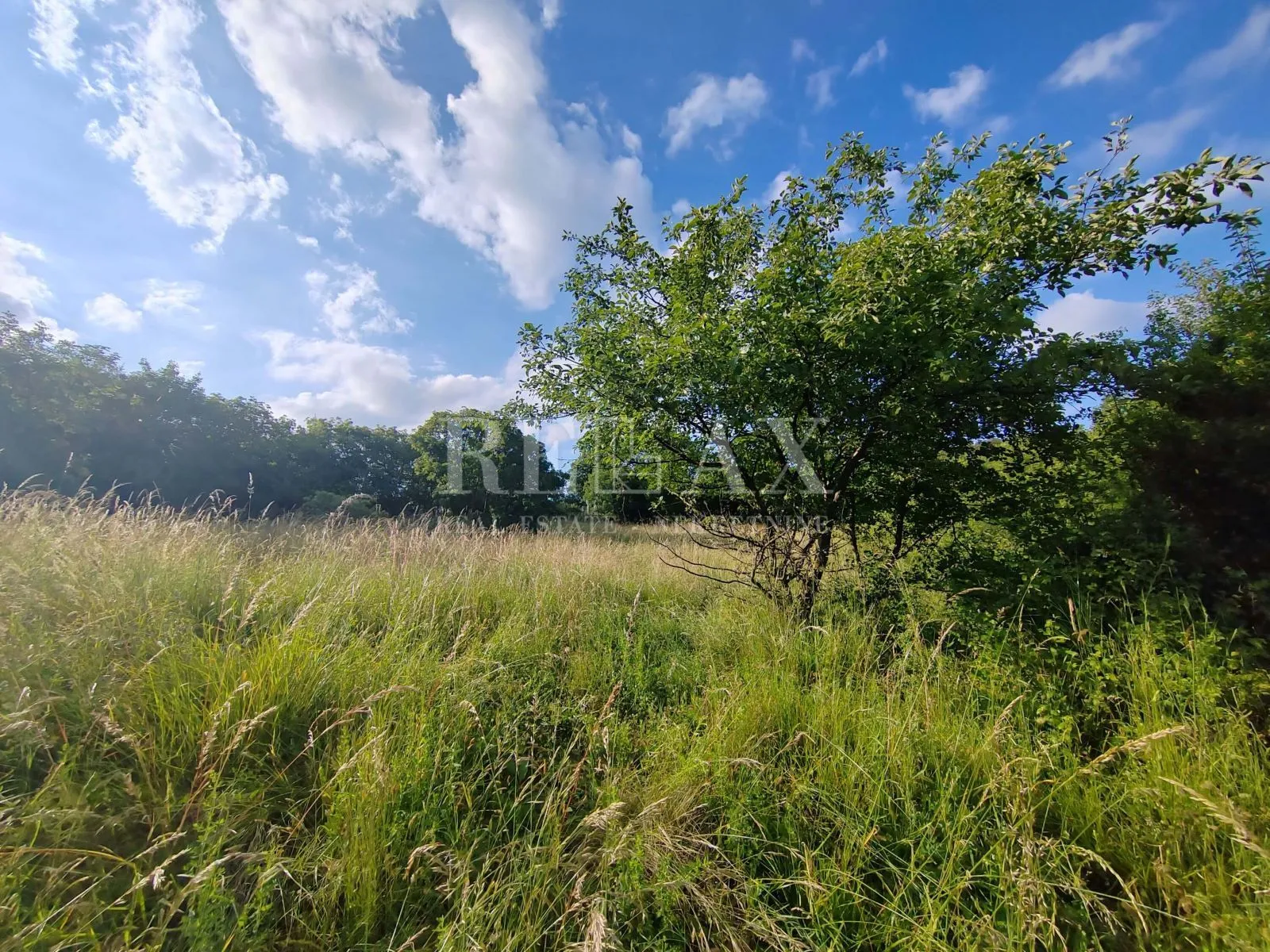 viškovo, marčelji - građevinski teren od 4700 m2 - slika 4