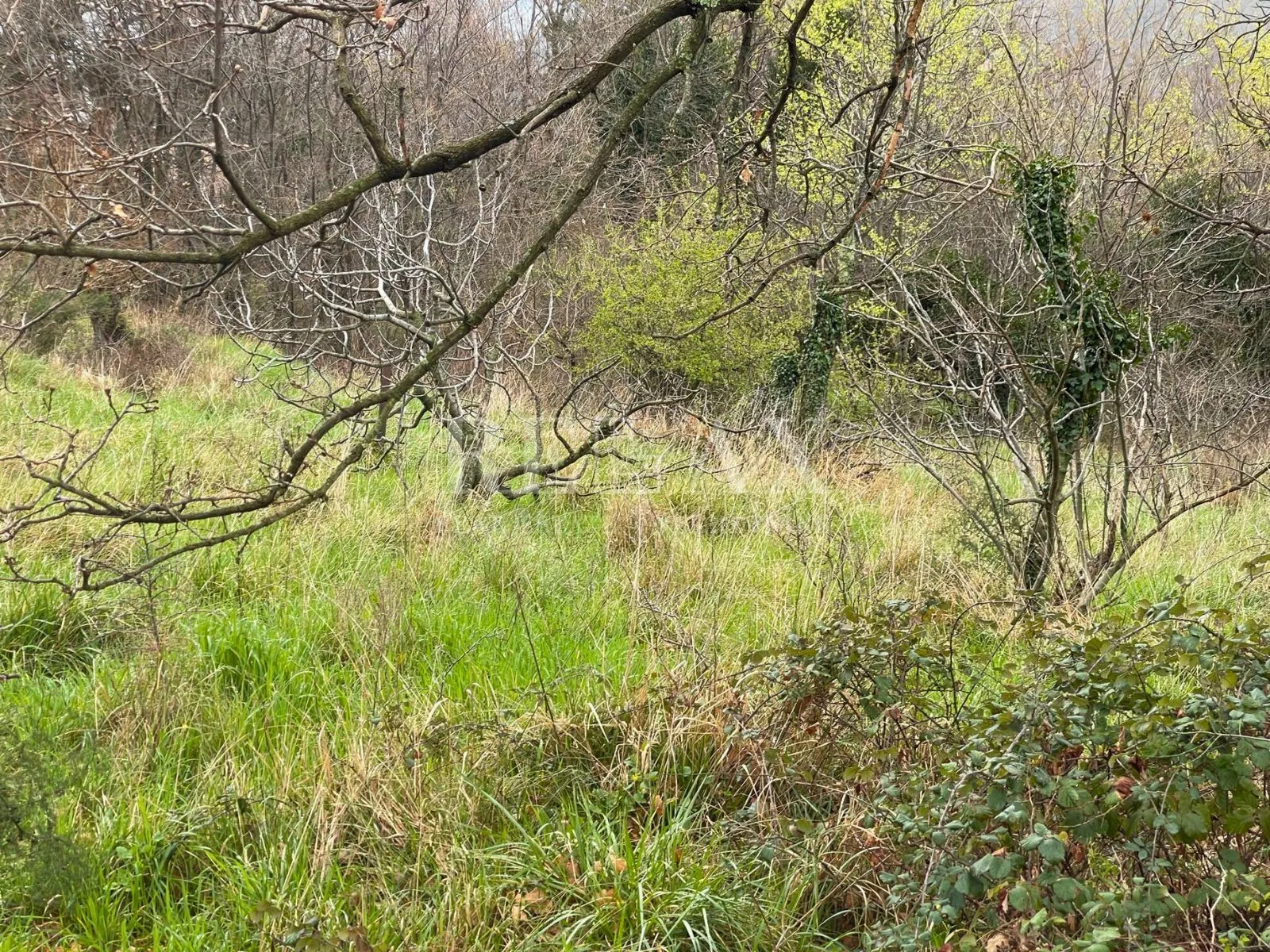 bribir - građevinsko zemljište - slika 4