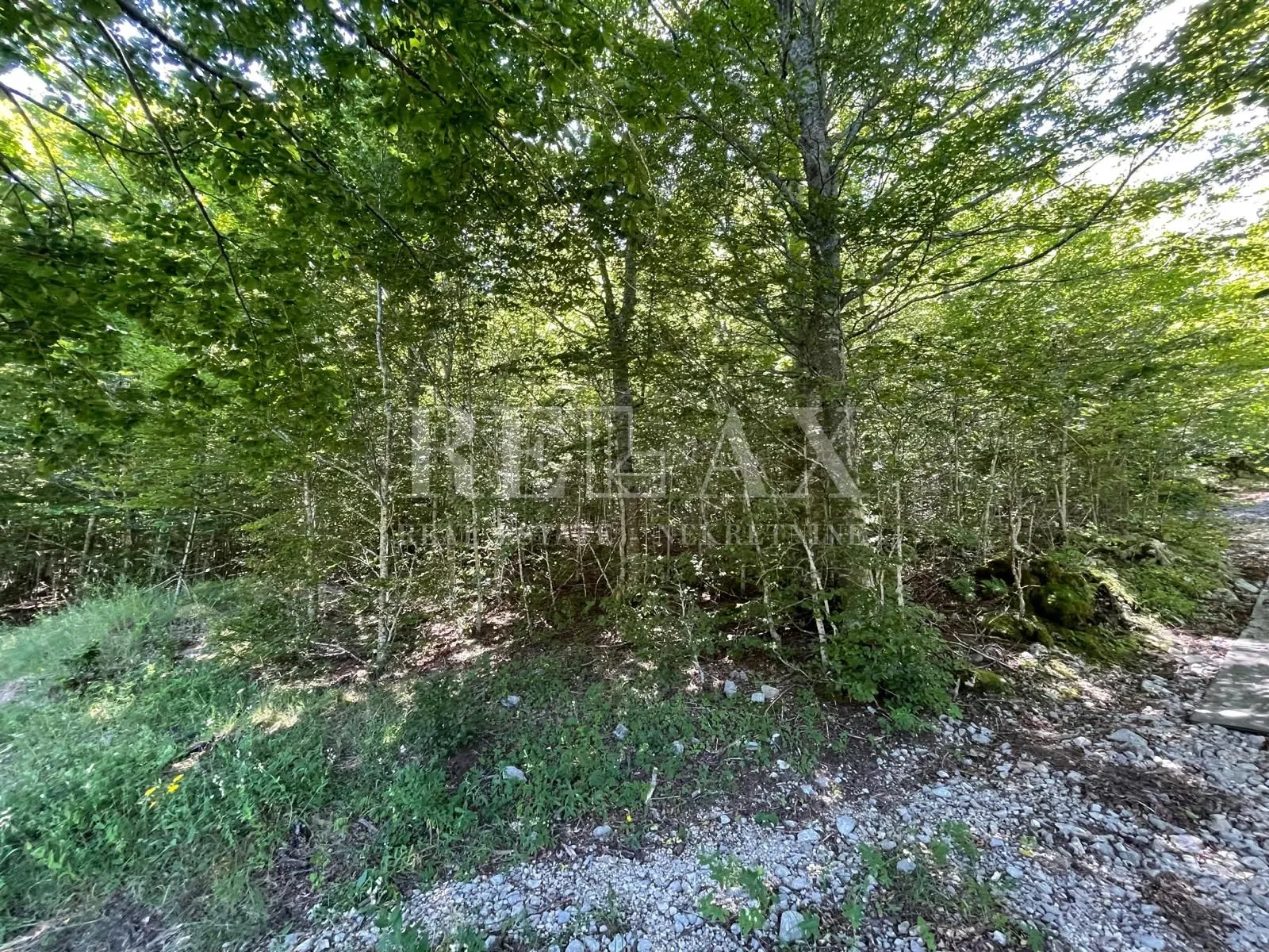 Bribir-građevinsko zemljište u šumskom području - Bribir, Vinodolska općina