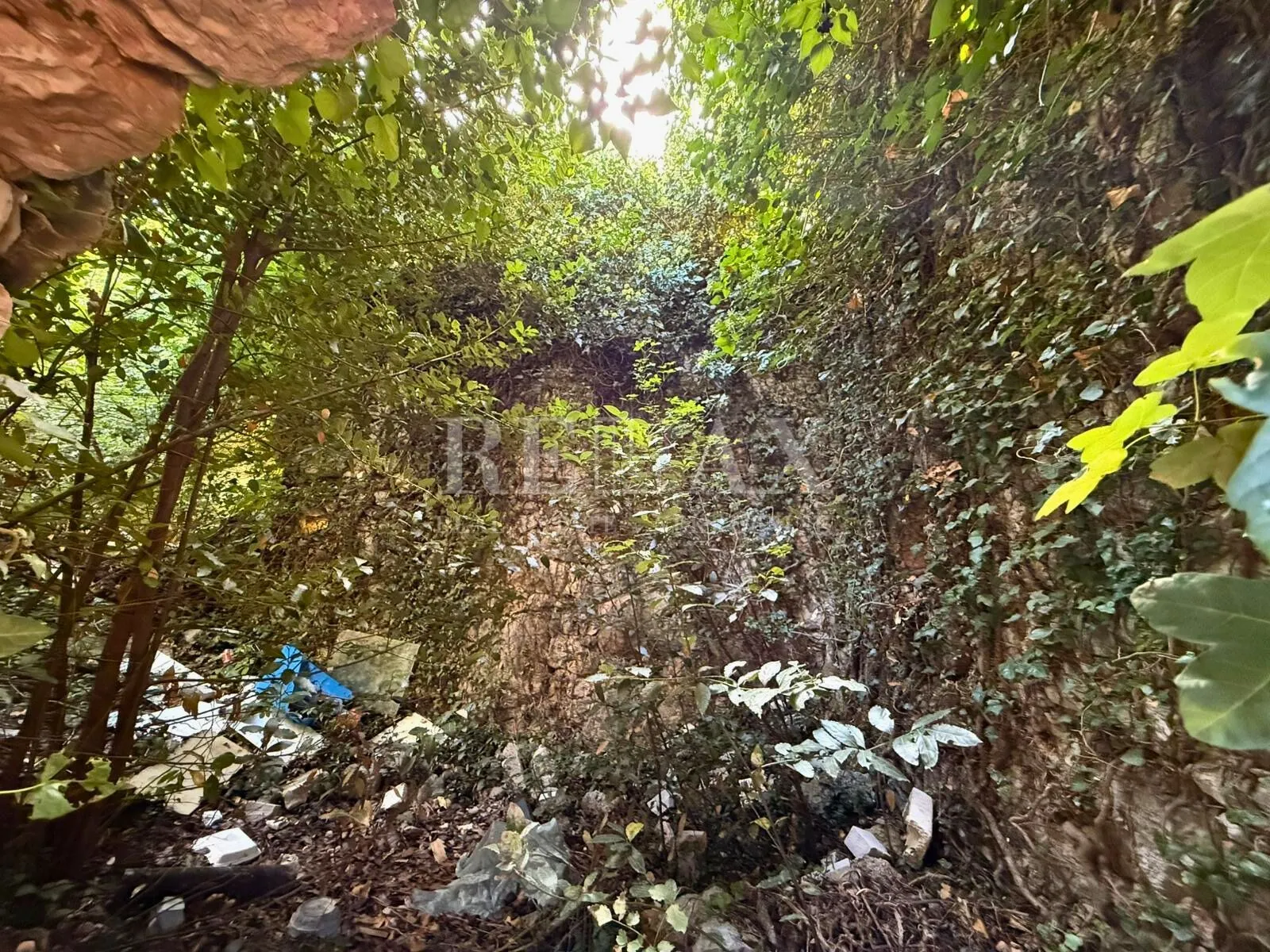 bribir - mirišće u blizini centra - slika 6