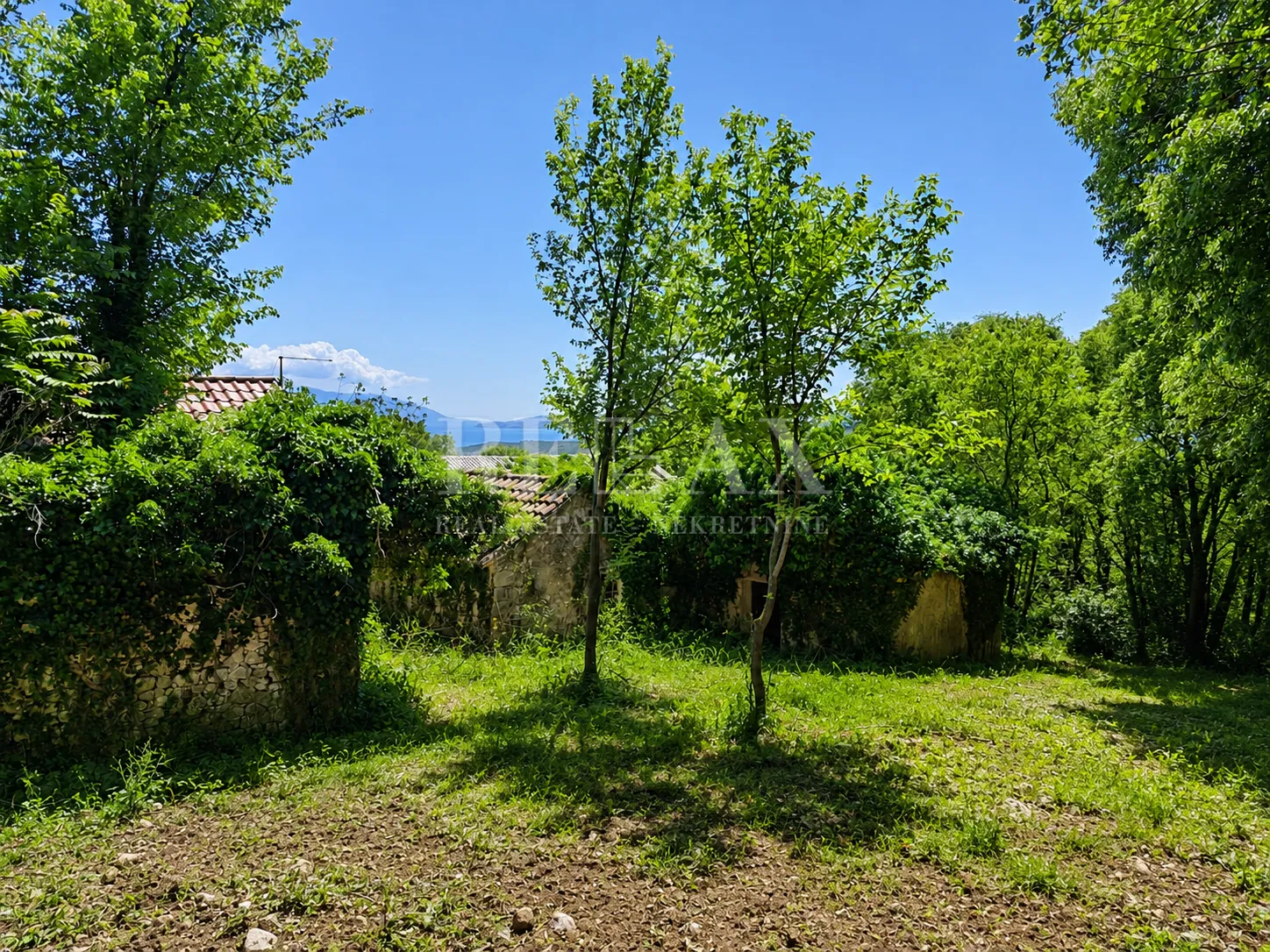 bribir - starina s okućnicom - slika 13