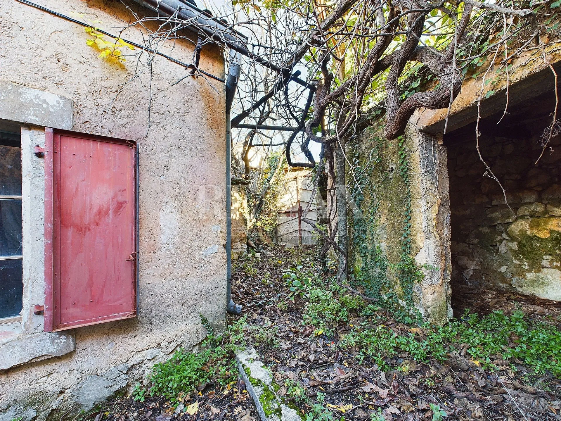 grižane - kamena kuća za renovaciju - slika 4