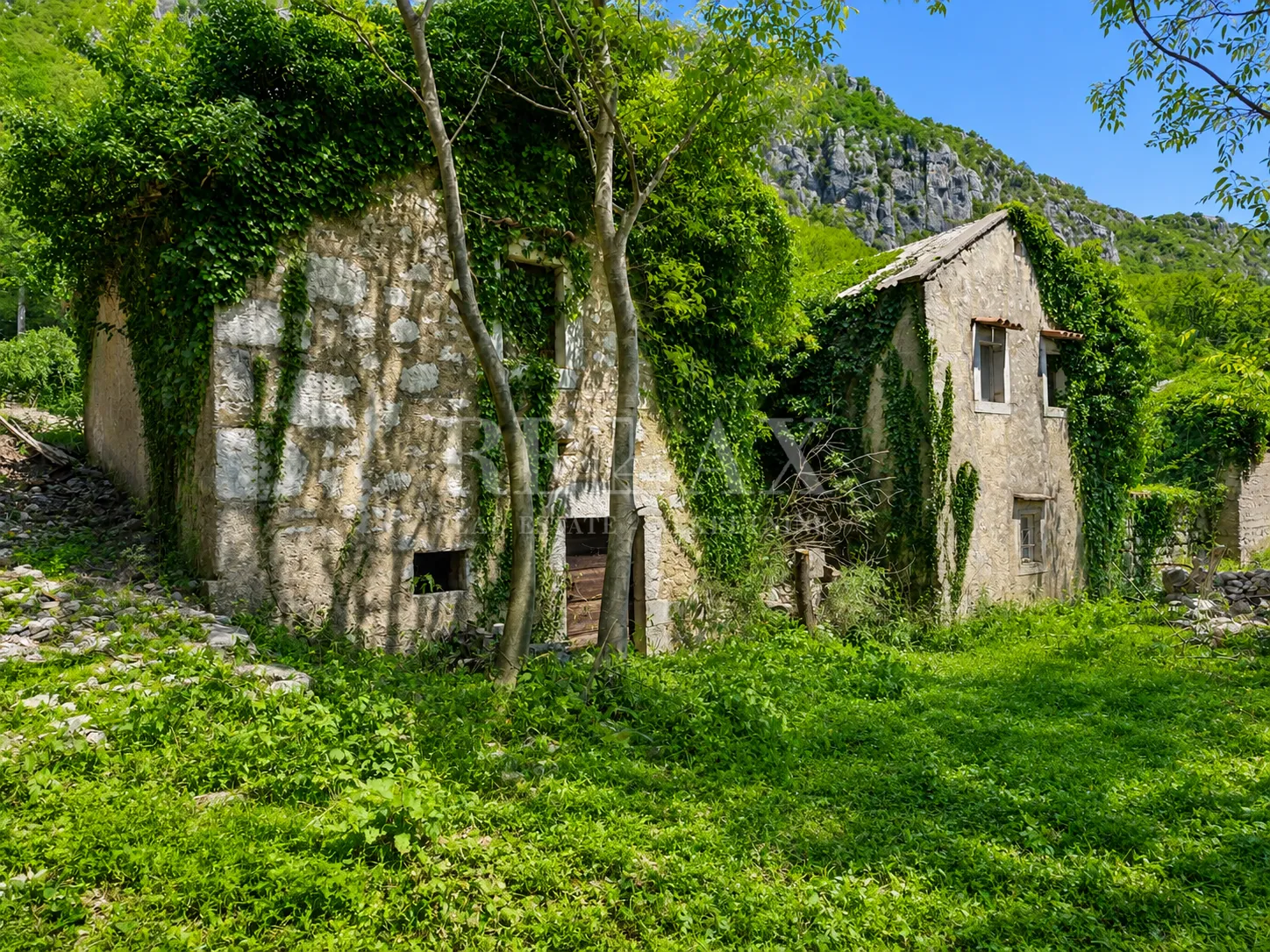 bribir - starina s okućnicom - slika 2