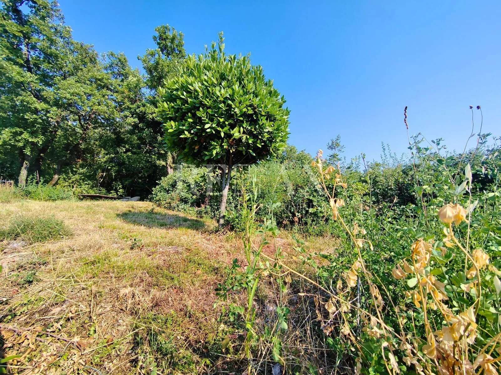 kastav, rubeši - građevinsko zemljište s pogledom na more - slika 4