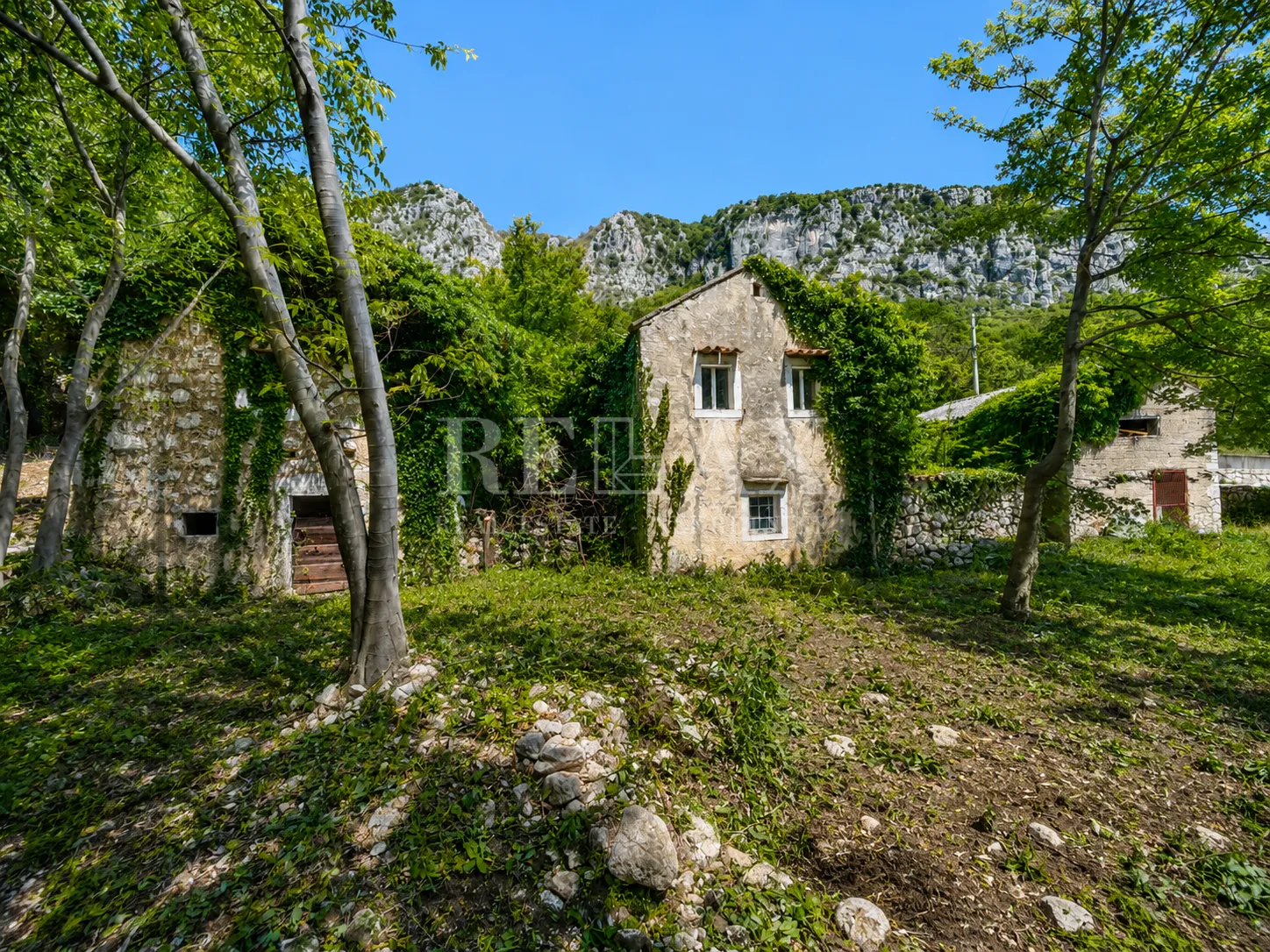 bribir - starina s okućnicom - slika 3